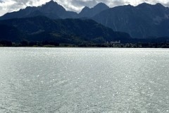 IMG_7406