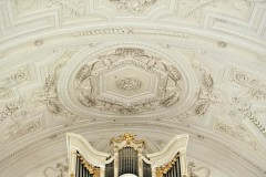 IMG_7419