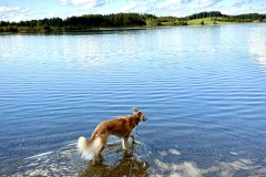 IMG_7425