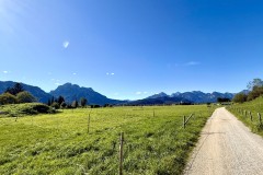 IMG_7468