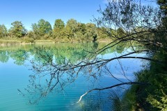 IMG_7471