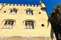IMG_7478