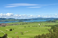 IMG_7506