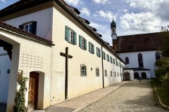 IMG_7553