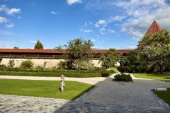 IMG_7554
