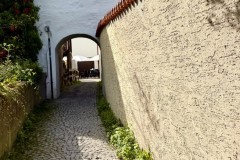 IMG_7556