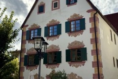 IMG_7557