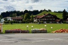 IMG_7581