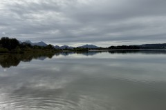 IMG_7596