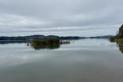 IMG_7597