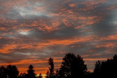 IMG_7602