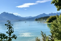 IMG_7631