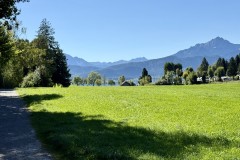 IMG_7641