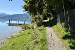 IMG_7642
