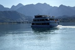 IMG_7654