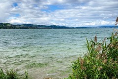 IMG_3141_jpg