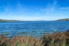 IMG_3180_jpg