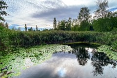 IMG_3188_jpg