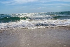 IMG_1946_jpg