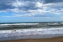 IMG_1961_jpg