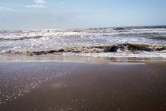 IMG_1996_jpg