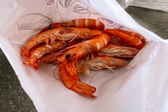 IMG_2002_jpg