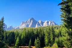 IMG_7393_jpg