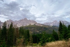 IMG_7430_jpg