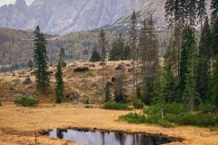 IMG_7432_jpg