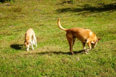 DSC00205