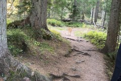 IMG_7468_jpg
