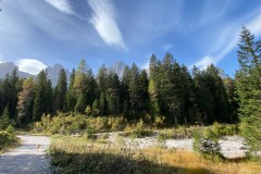 IMG_7469_jpg