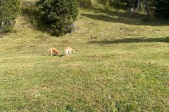 IMG_7477_jpg