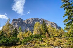 IMG_7484_jpg