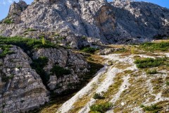 IMG_7503_jpg