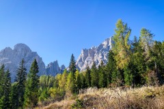 IMG_7665_jpg