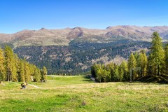 IMG_7677_jpg