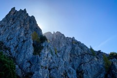 IMG_7687_jpg