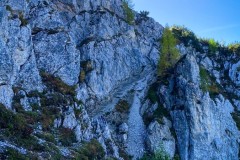 IMG_7688_jpg