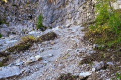 IMG_7703_jpg