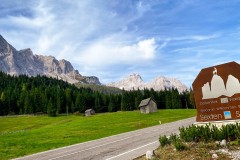 IMG_7847_jpg