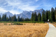 IMG_7856_jpg