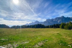 IMG_7858_jpg