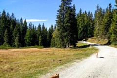 IMG_7867_jpg
