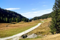 IMG_7868_jpg