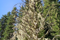 IMG_7870_jpg
