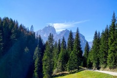 IMG_7872_jpg