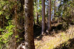 IMG_7876_jpg