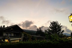 IMG_7934_jpg