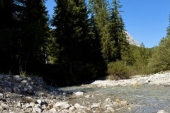 IMG_7103